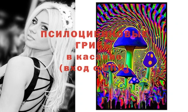 ECSTASY Вязьма